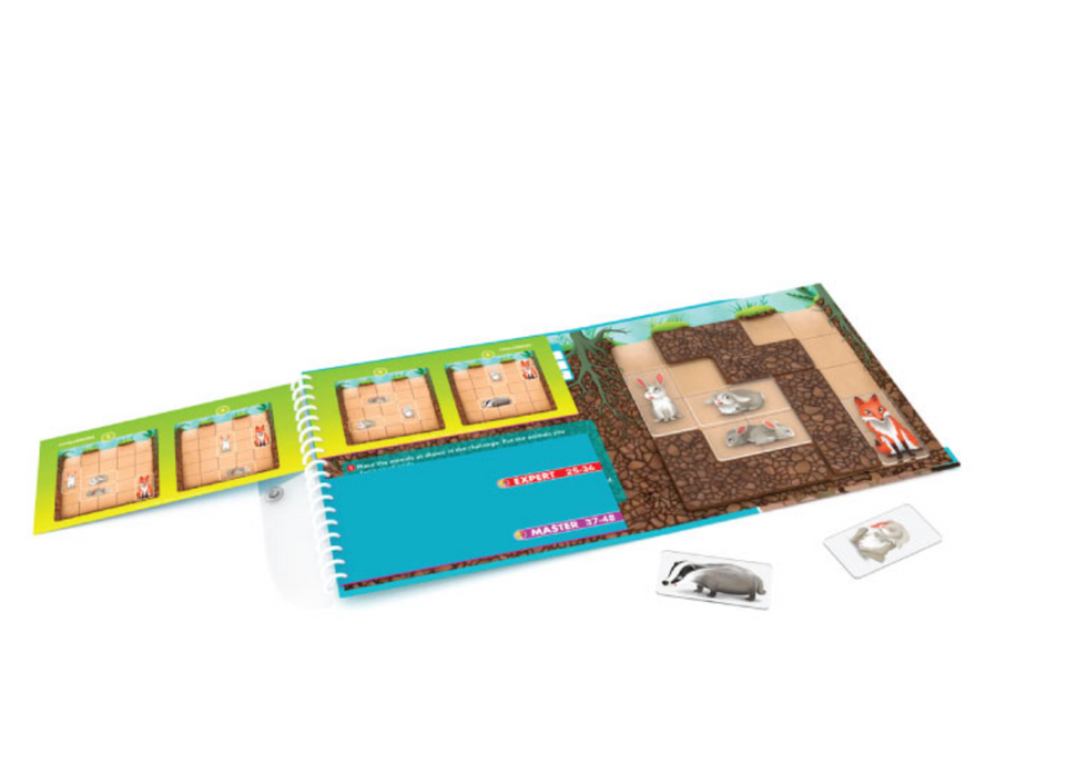 Down The Rabbit Hole Magnetic Travel Game