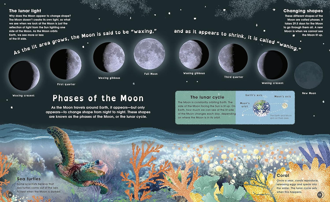The Moon: Discover the Mysteries of Earth's Closest Neighbor