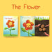 The Flower By AlMaha Rashed AlMheiri ( Book 1 )