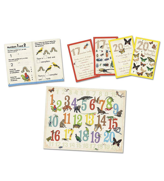 Look & Learn Activity Set: 123 (Look and Learn Activity) freeshipping - Rainbow Chimney