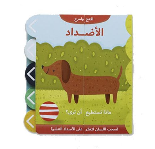 Opposites - interactive book